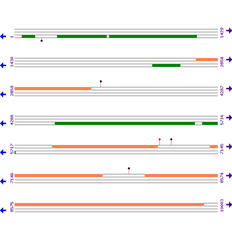 Genome View