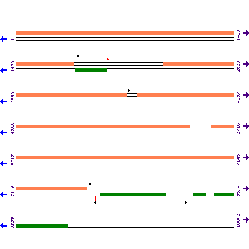 Genome View