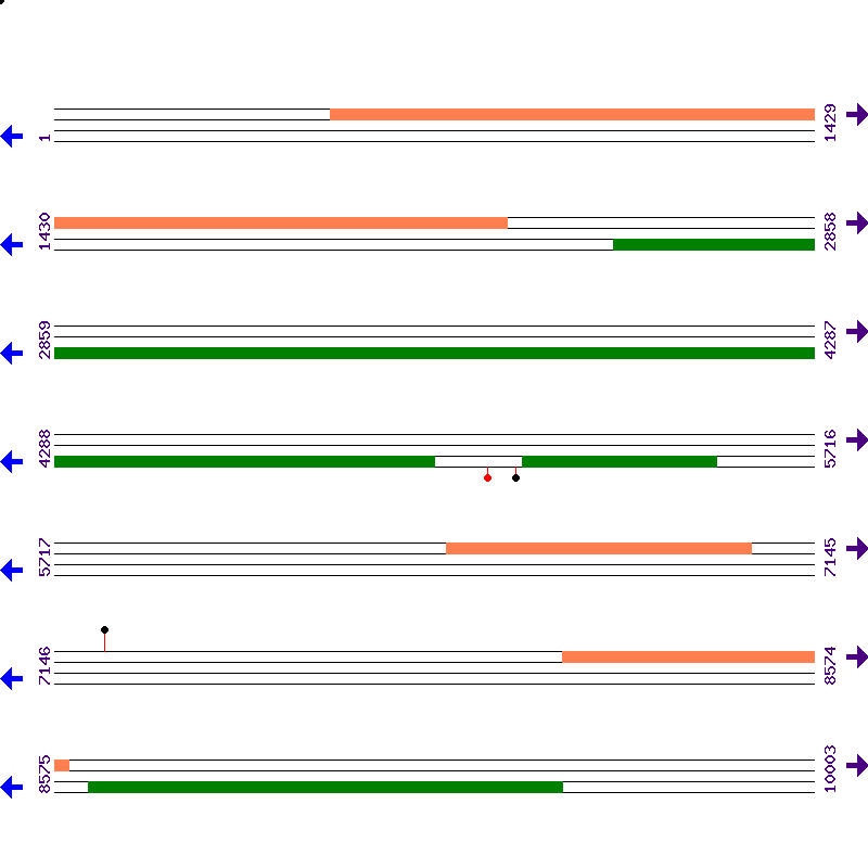 Genome View