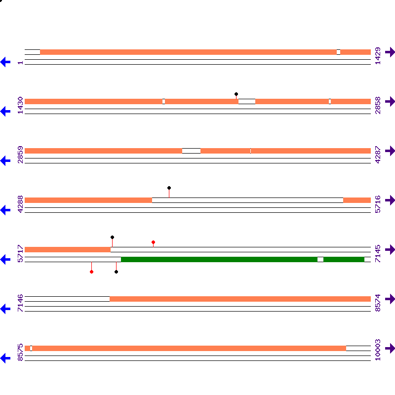 Genome View