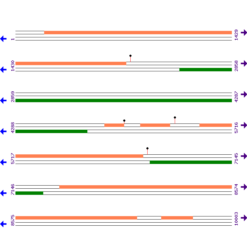 Genome View