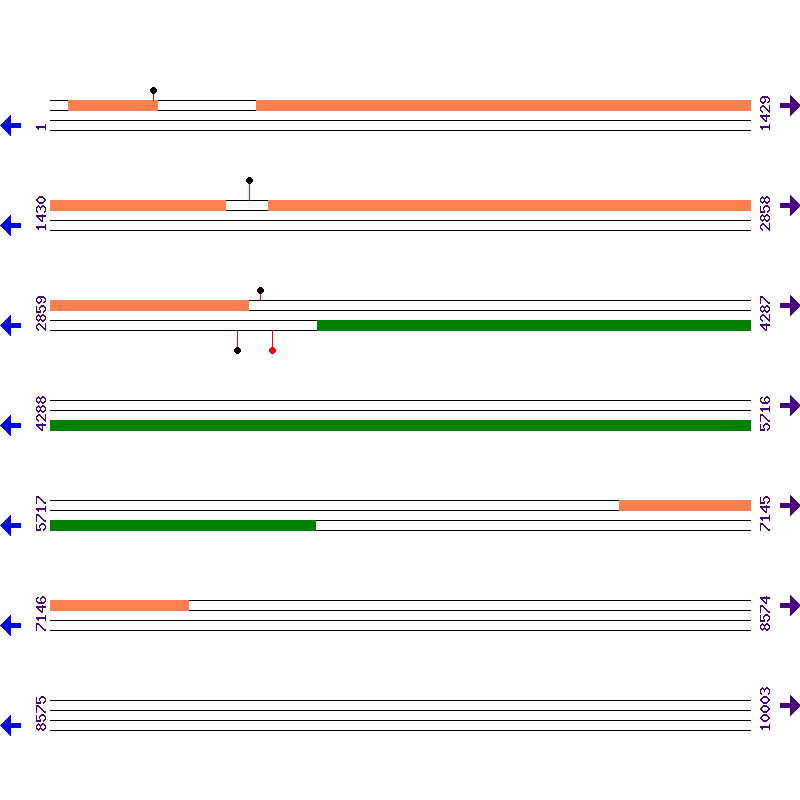 Genome View