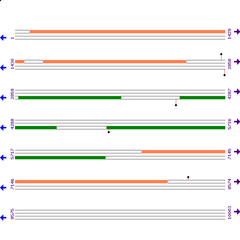 Genome View