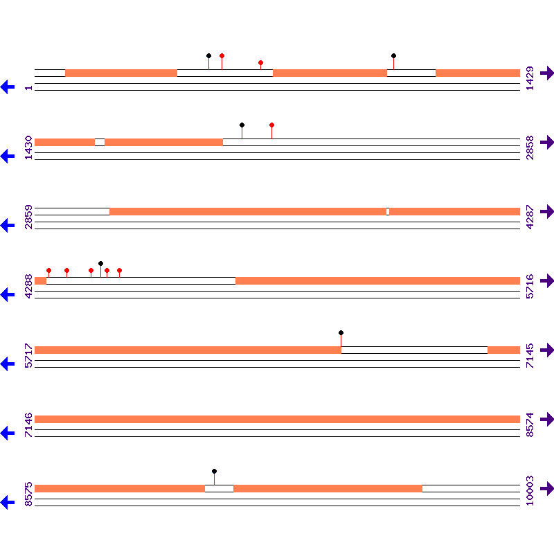 Genome View