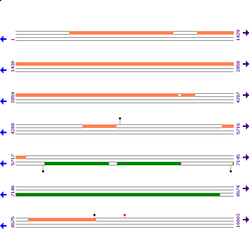 Genome View