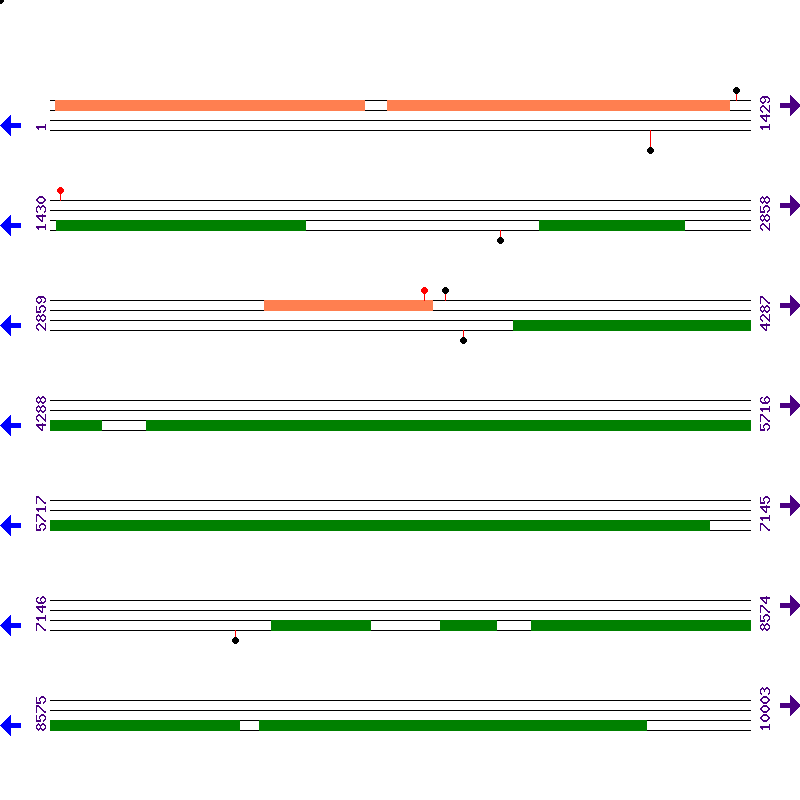 Genome View