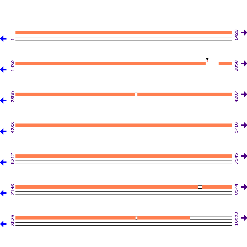 Genome View