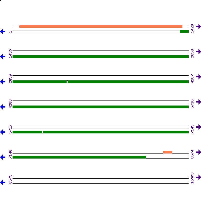 Genome View