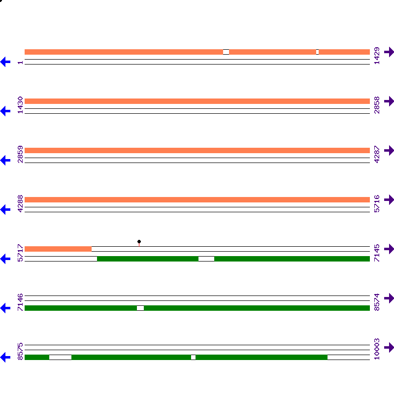 Genome View