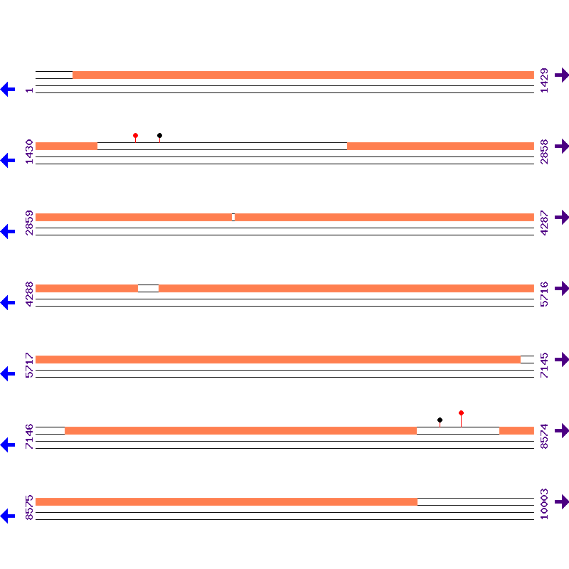 Genome View