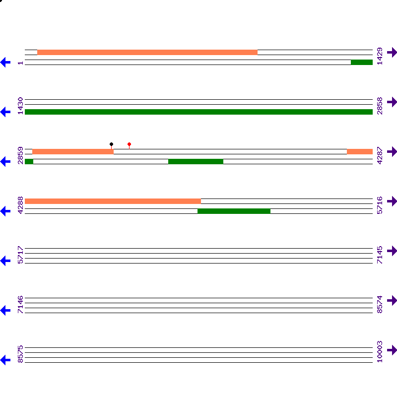 Genome View