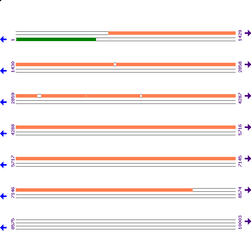 Genome View