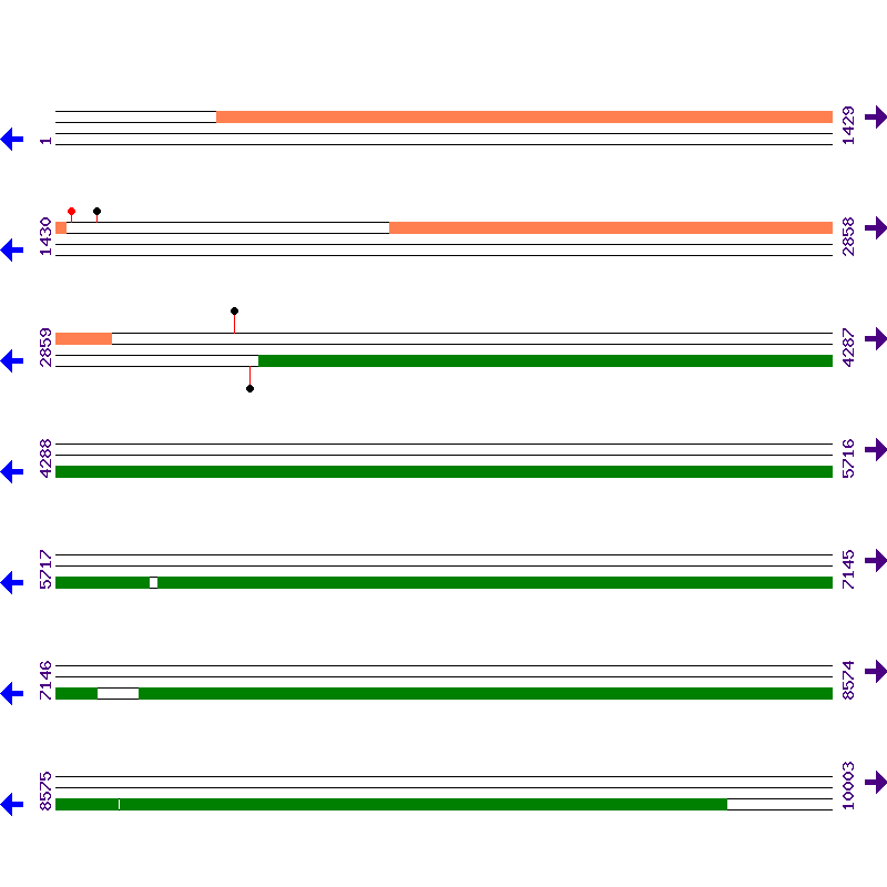 Genome View