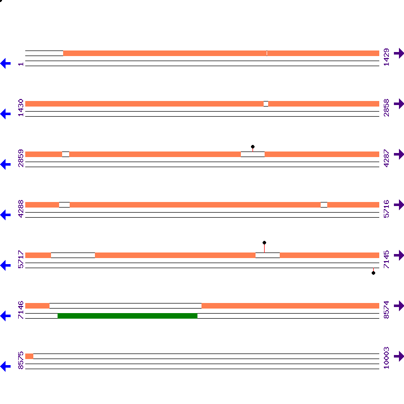 Genome View