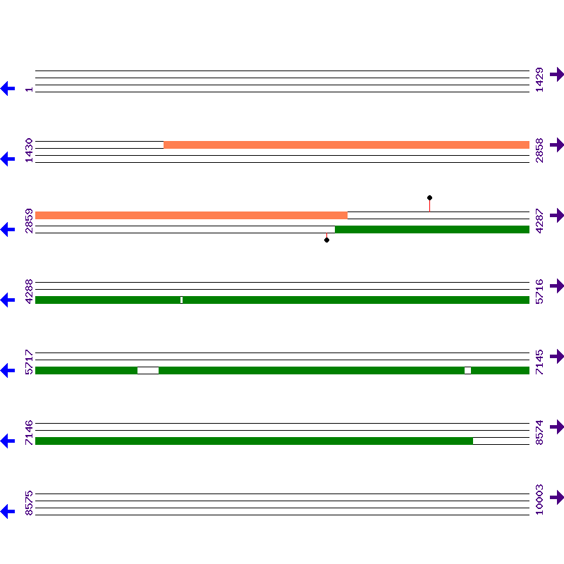 Genome View