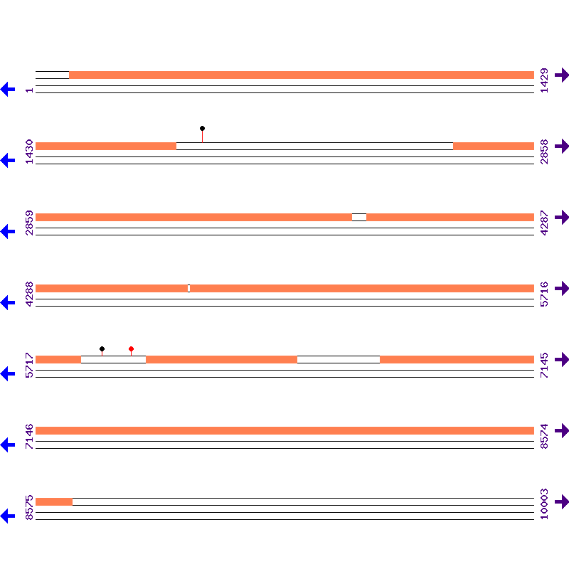 Genome View
