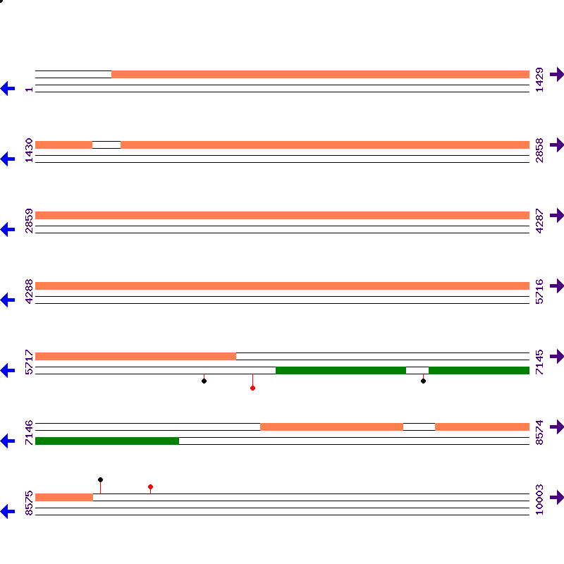 Genome View