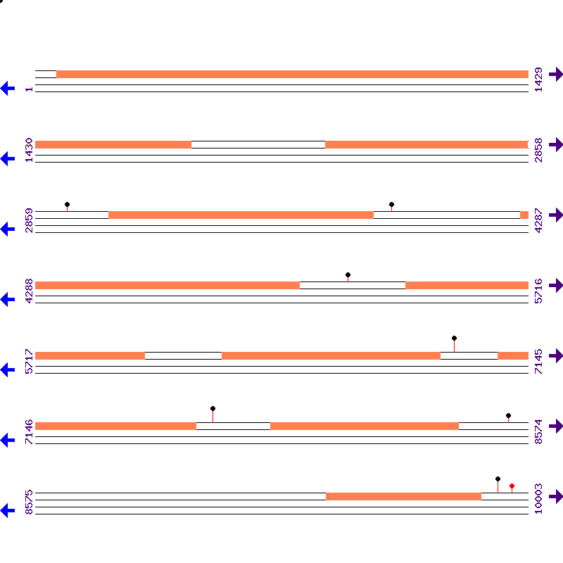 Genome View