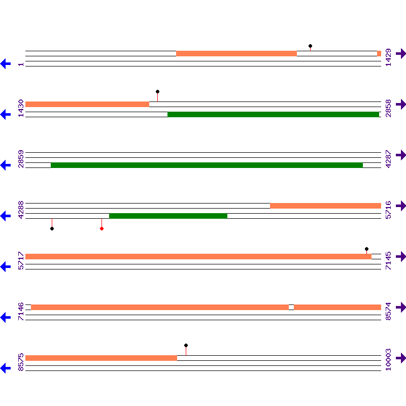 Genome View