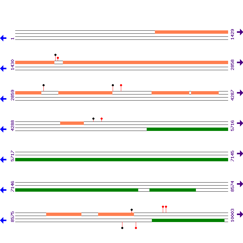 Genome View