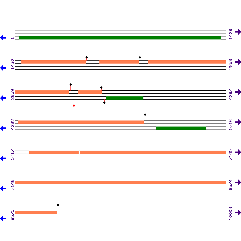 Genome View