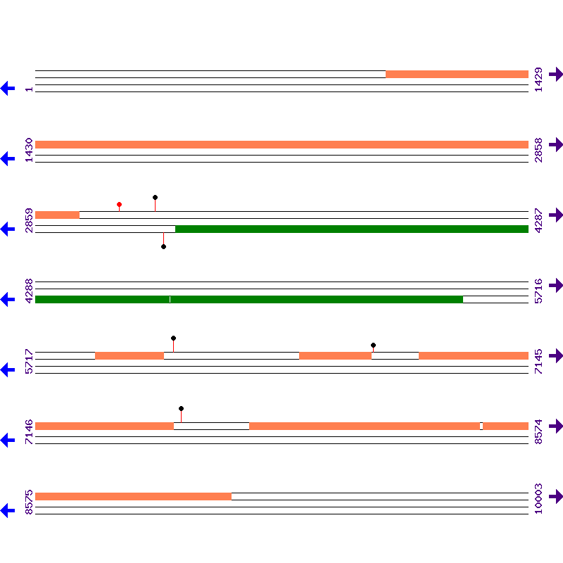 Genome View