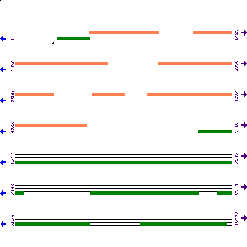 Genome View