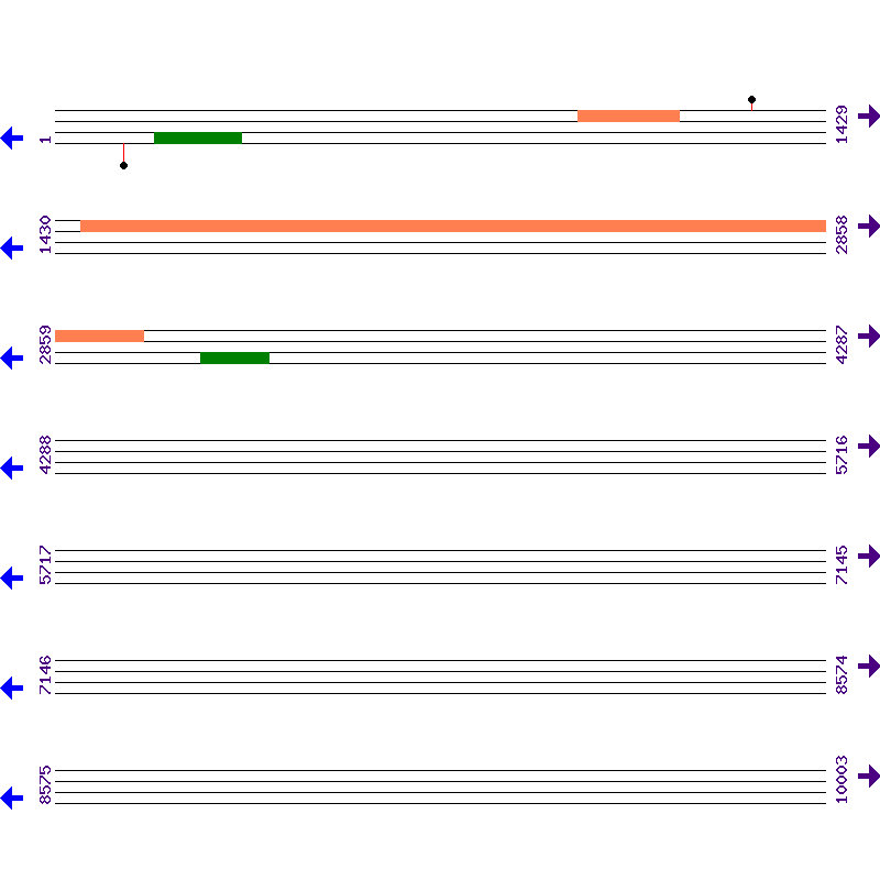 Genome View