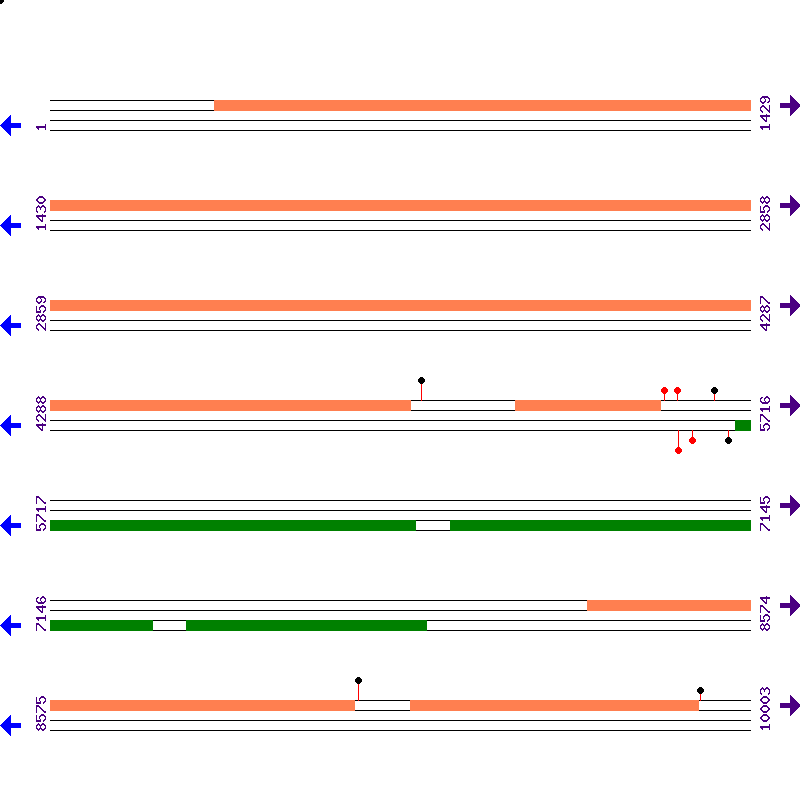 Genome View