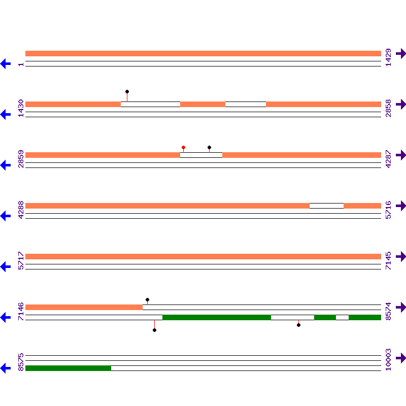 Genome View