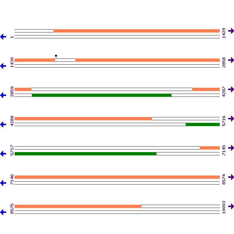 Genome View