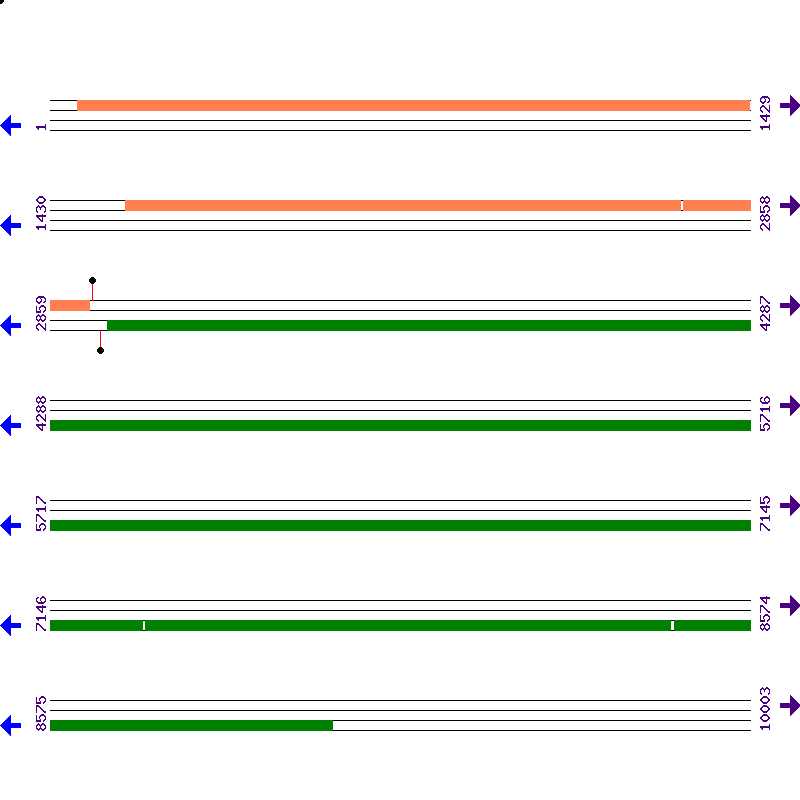 Genome View