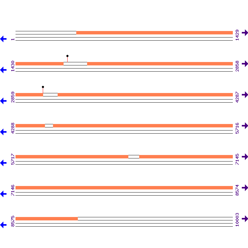 Genome View