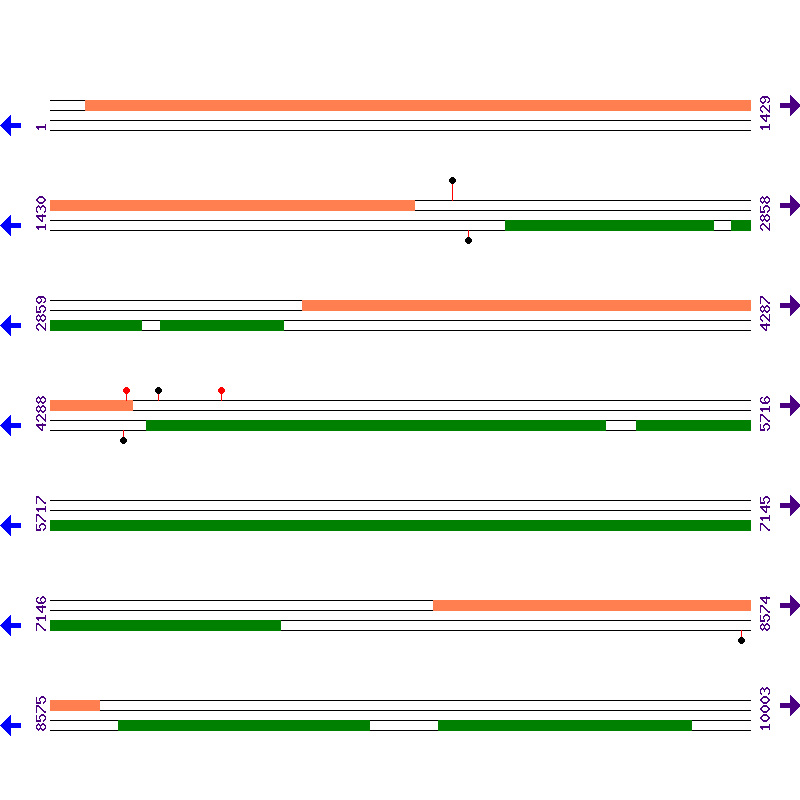 Genome View