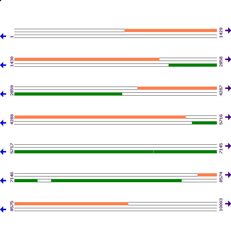Genome View