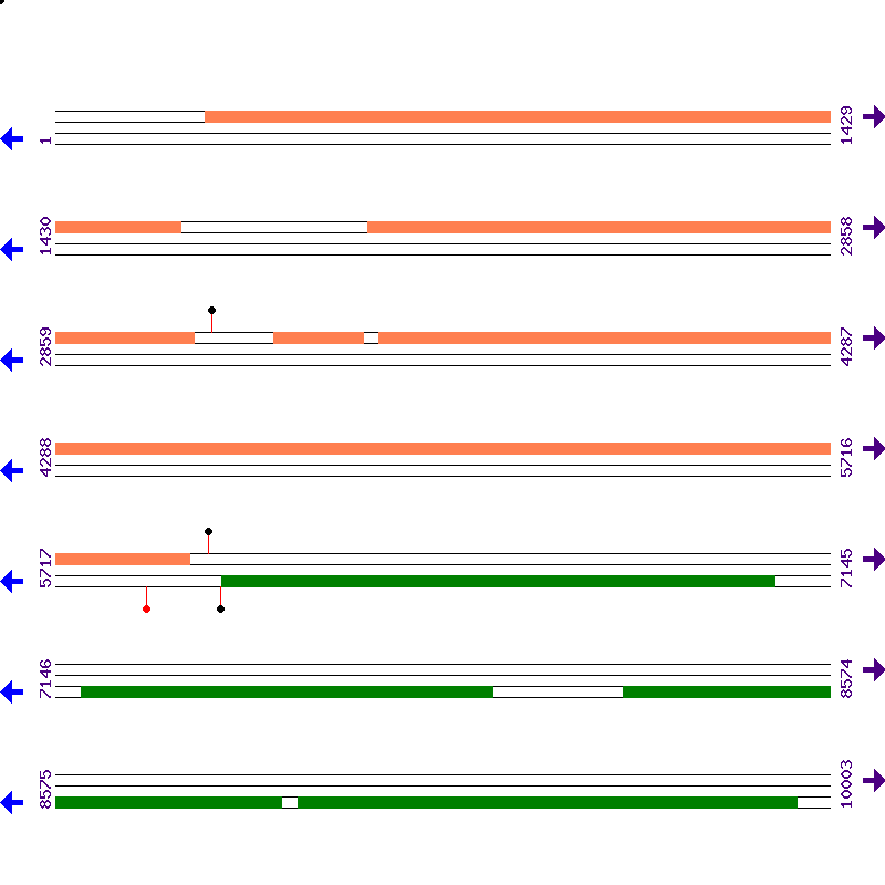Genome View
