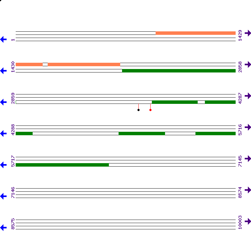 Genome View