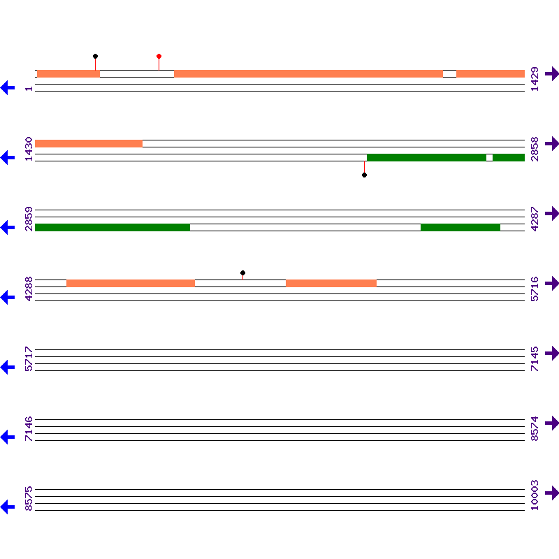 Genome View