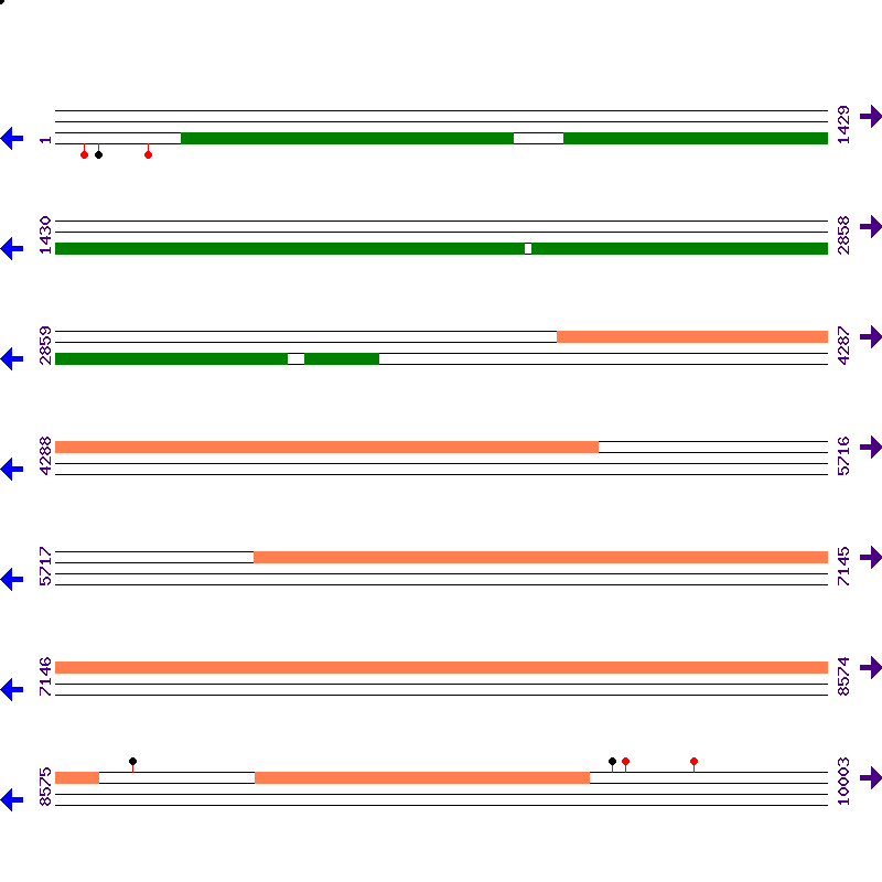 Genome View