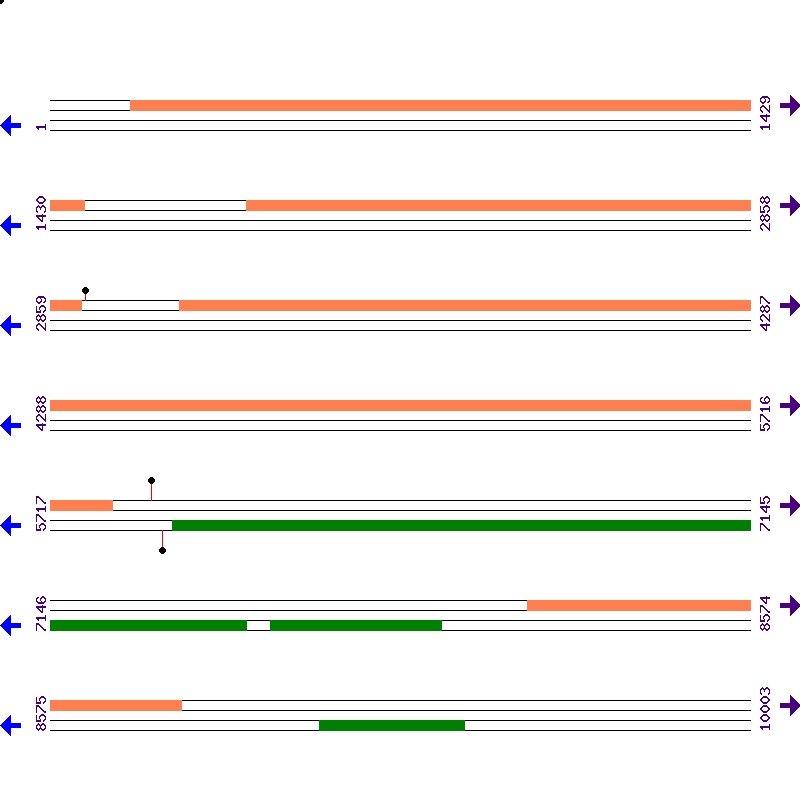 Genome View