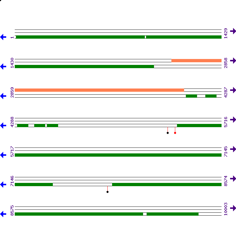 Genome View