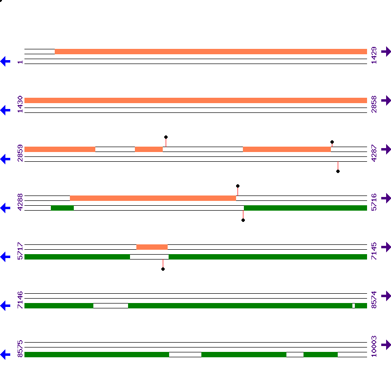 Genome View