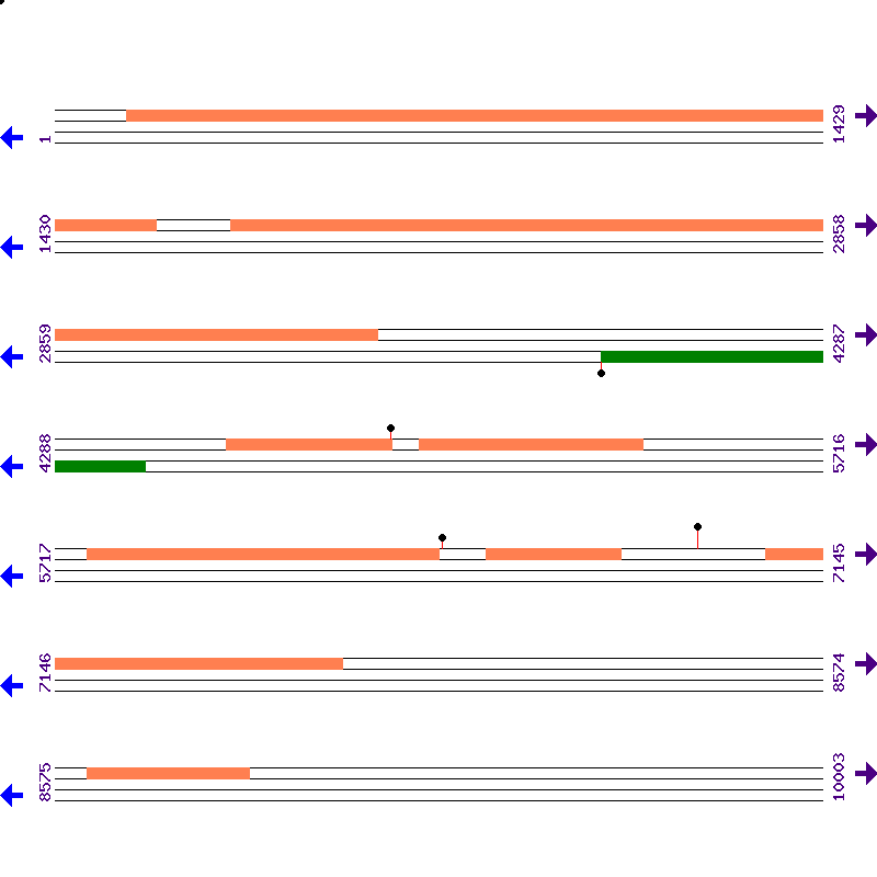 Genome View
