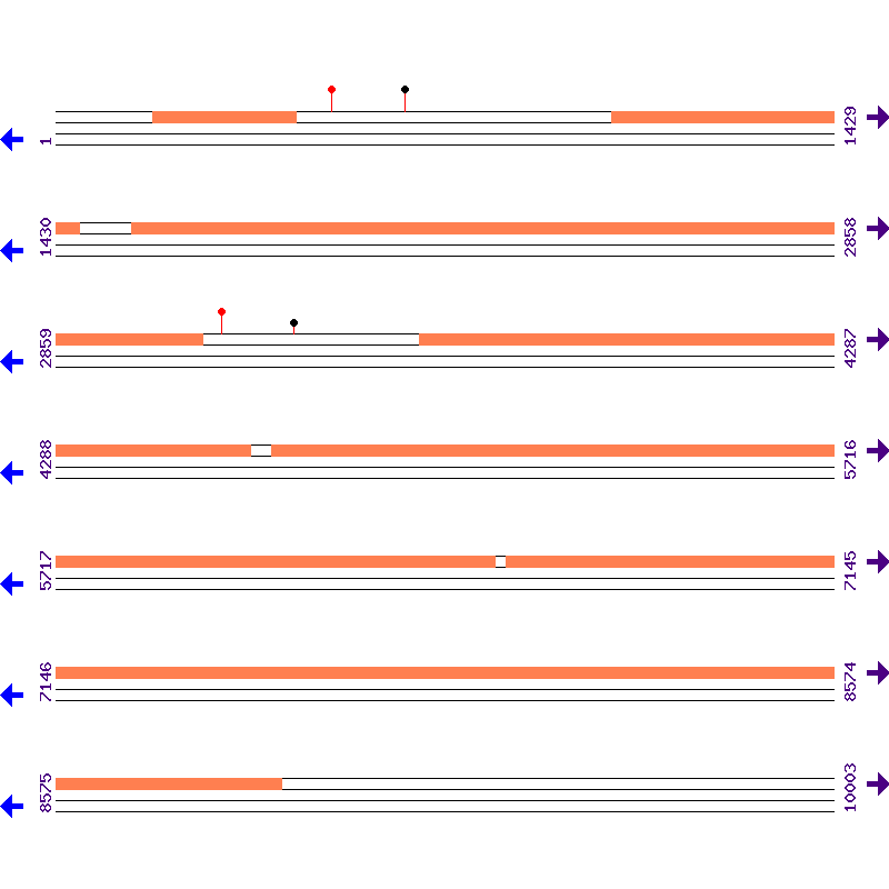 Genome View