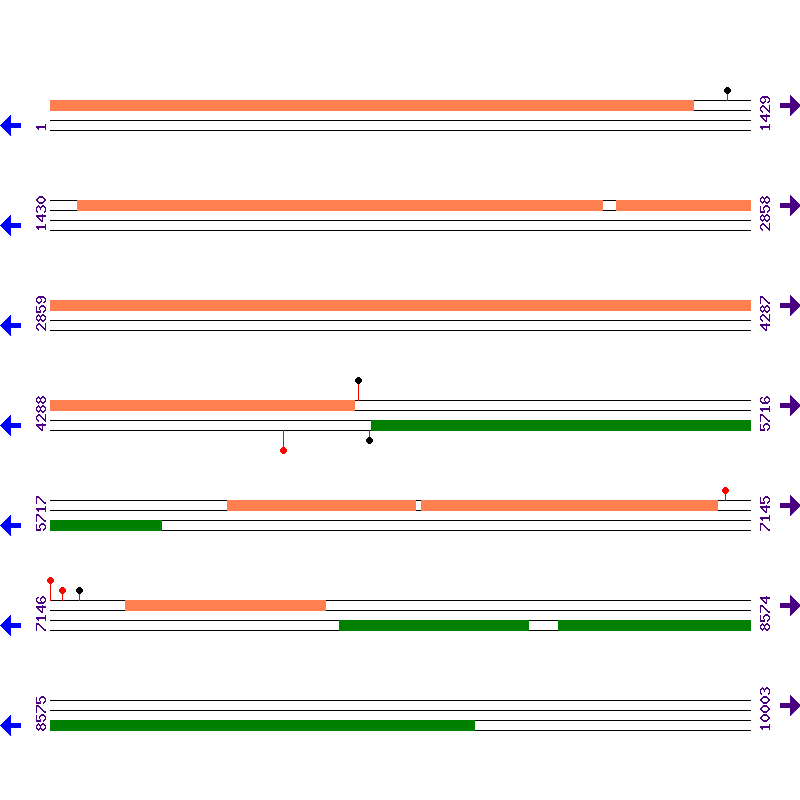 Genome View