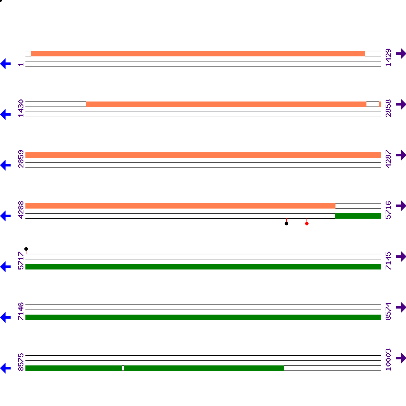 Genome View