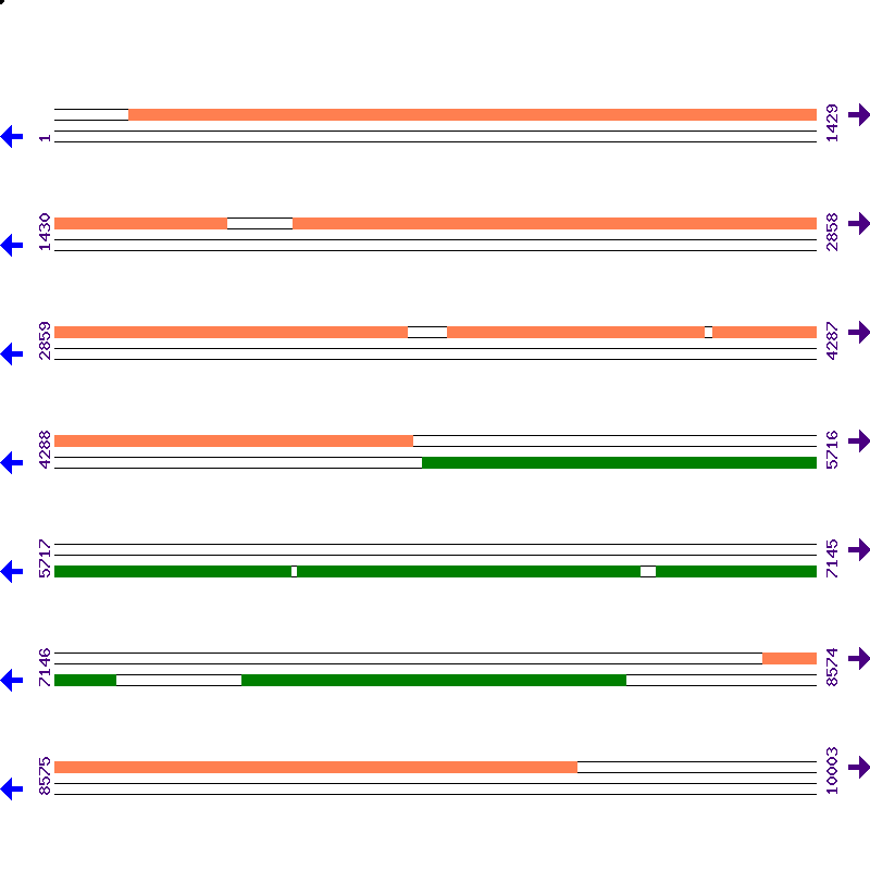 Genome View