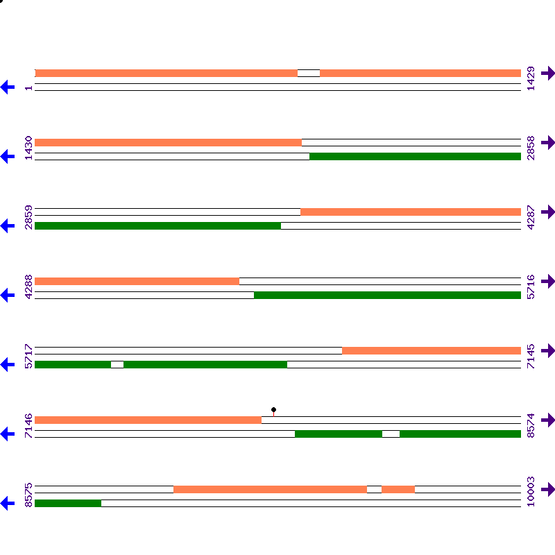 Genome View