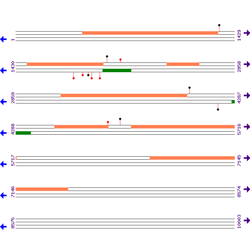 Genome View