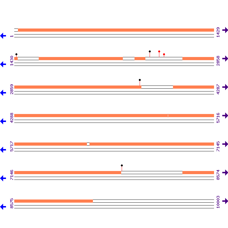 Genome View